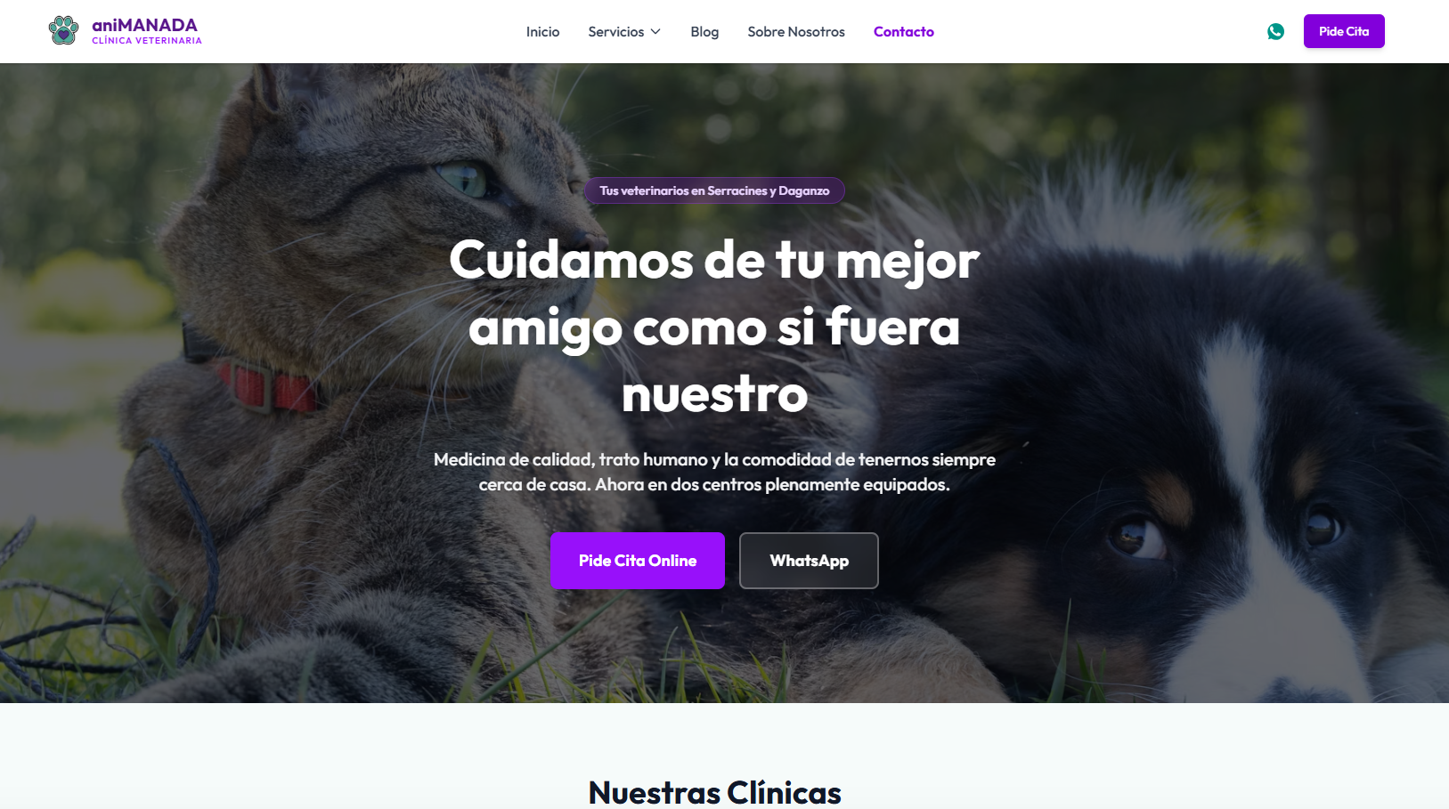 Web de CV Animanada