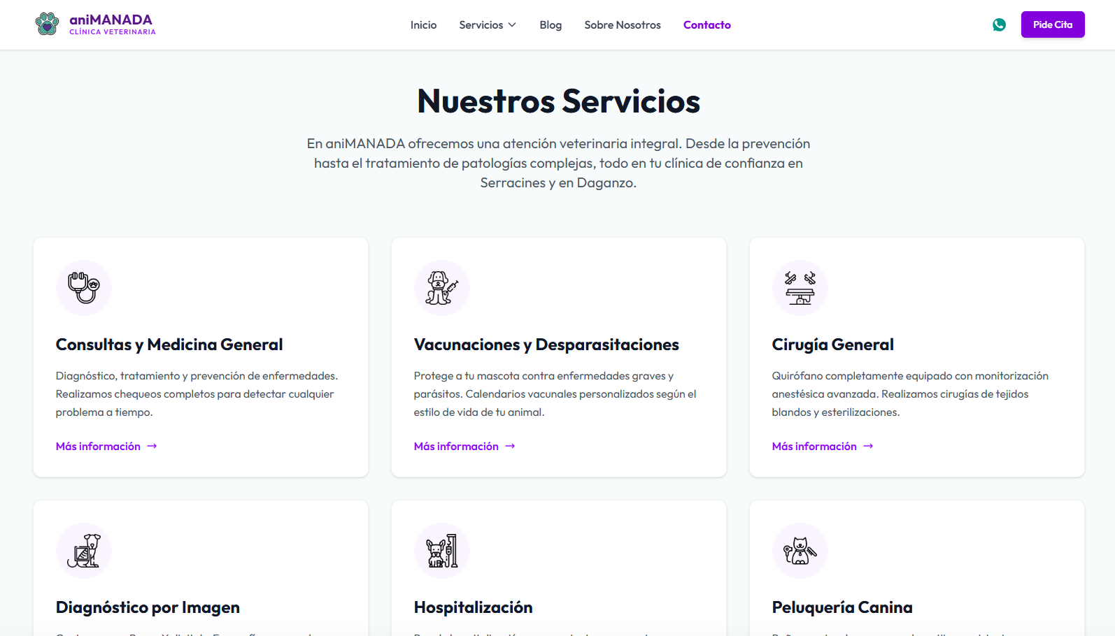 Animanada - Servicios